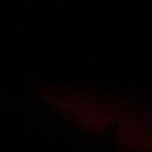 Meet your Posher, Manuel